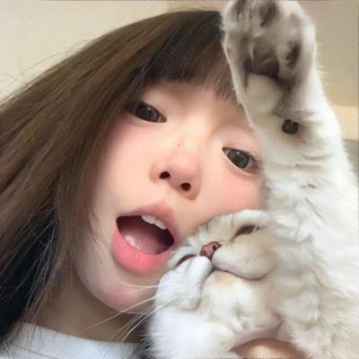 无懈可击